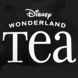 Disney Wonderland Logo