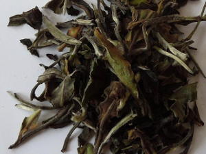 Loose-leaf white tea, showing larger, dark brown and olive green leaves