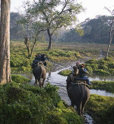 An elephant safari in the a nature preserve