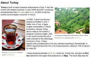 Screenshot of the new article on Turkey