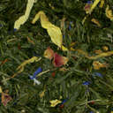 Picture of Apricot Mango Green Tea