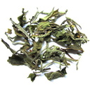 Picture of Nepal 1st Flush 2014 Spring Buds White Tea