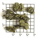 Bright Yellowish Green, Tightly-rolled Tea Leaves