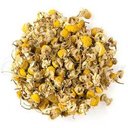 Picture of Egyptian Camomile