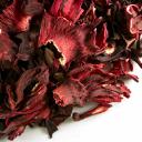 Picture of Hibiscus Flower, Whole