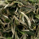 Picture of High Grade China White Tea