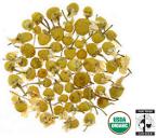 Chamomile Blossoms Arranged in a Circle