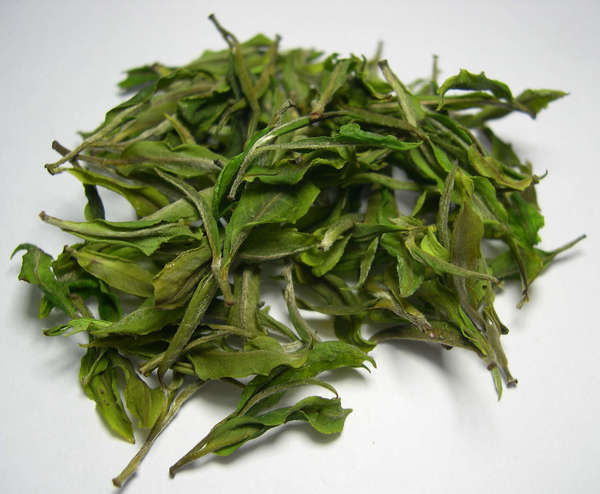 Loose-leaf tea with vibrant green color, almost looking like fresh leaves, containing buds and attached young leaves, all intact
