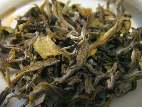 Curly, irregular, loose-leaf tea leaves with yellow to brown colors, covered in downy white hairs