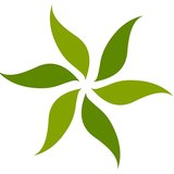 Admari Tea Logo