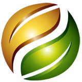 Fava Tea Company Logo
