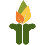 Terrace Bloom Logo