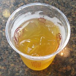 Cup of Iced Green Tea