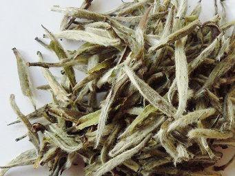 Loose-leaf white tea, all downy white tips