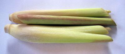 Cut lemongrass stalks
