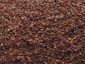 Red Rooibos Leaf
