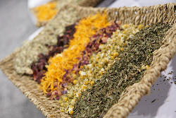 Rows of loose-leaf tea and herbs on display