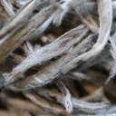 Picture of Fujian Silver Needle Tea