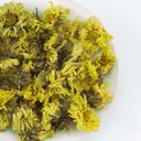 Picture of Chrysanthemum Flower - Gong Ju