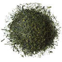 Picture of Sencha