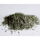 Picture of Sencha Organic