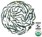Picture of Jade Cloud (aka Green Jade)