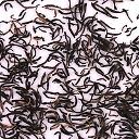 Picture of tea