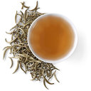Picture of Silver Needle White Tea