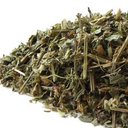 Picture of Holy Basil, Rama (Tulsi)