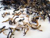 Loose black tea with gold tips