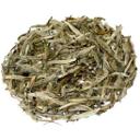 Picture of Silver Needle