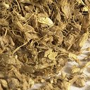 Picture of Organic Ginger Root