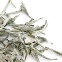 Picture of Organic Silver Needle