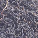 Picture of tea