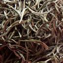 Picture of White Tea