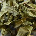 Picture of Lemon Verbena