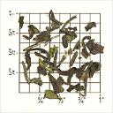 Picture of tea