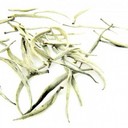 Picture of Jun Shan Yin Zhen-Mt.Jun Silver Needle-Premium Handmade