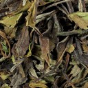 Picture of Organic Bai Mu Dan Peony White Tea