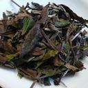 2009 Shou Mei (Sow Mee or Longevity Brow), Loose-leaf tea