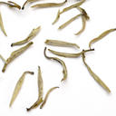 Picture of Jasmine Silver Needle White Tea (Mo Li Yin Zhen)