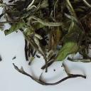 Picture of Organic Pai Mu Tan White Peony