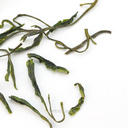 Picture of Organic Tian Mu Mao Feng Green Tea