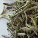 Picture of Organic Silver Needle White Tea