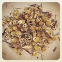 Picture of Just Chamomile