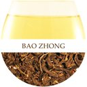 Picture of Bao Zhong