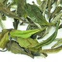 Picture of White Peony (Pai Mu Tan)