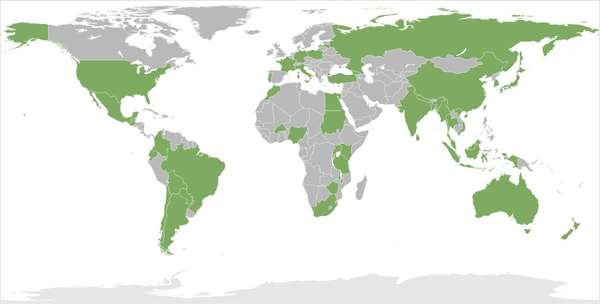 World map with tea-producing countries highlighted in green and other countries gray