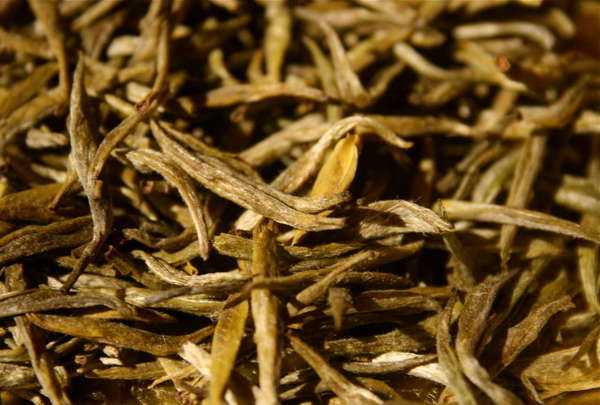 Loose-leaf tea buds, yellow in color, covered in downy hairs