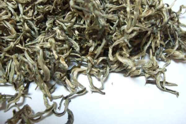 Curly tea leaves with golden-silver color and fine downy hairs